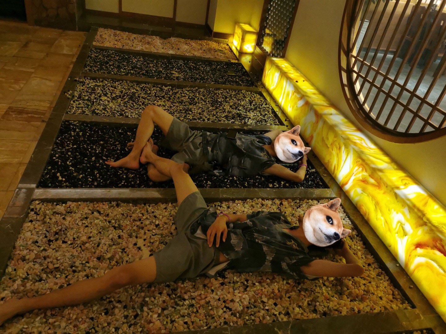 干蒸房、汗蒸房、湿蒸房的区别有什么不同
